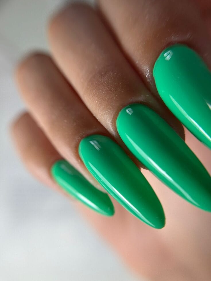 6ae66f0b Fe63 4cb6 B1ff 65db06d5e094