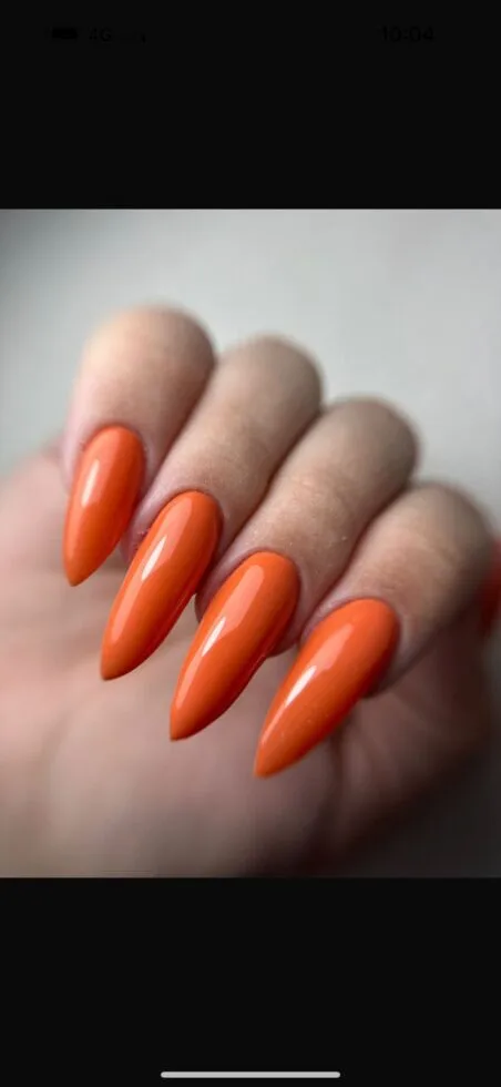 Whatsapp Image 2025 04 27 At 12.17.49