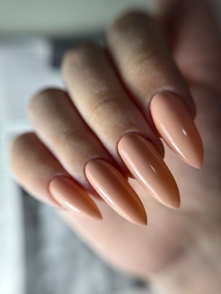 E8b4f9b4 5dba 4f2f A10d 9e3a76a3d6c8